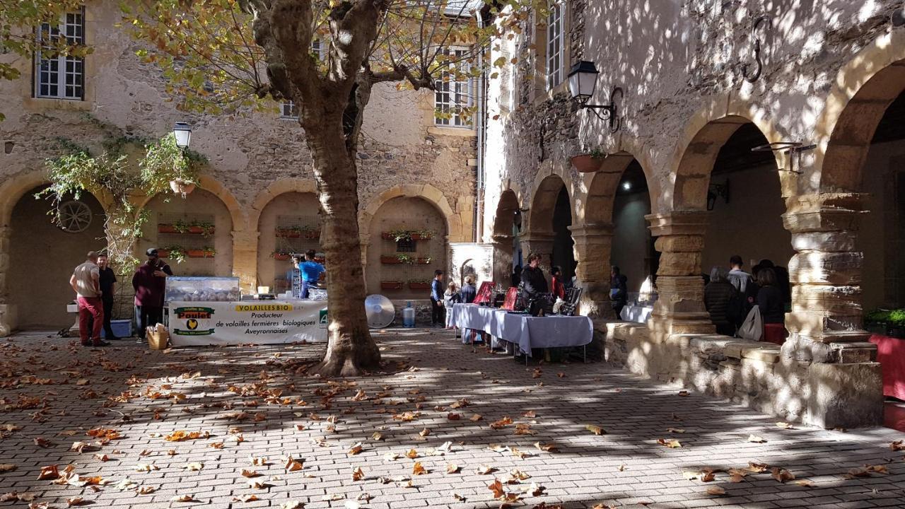 Saint-Geniez-dʼOlt Chateau Ricard מראה חיצוני תמונה