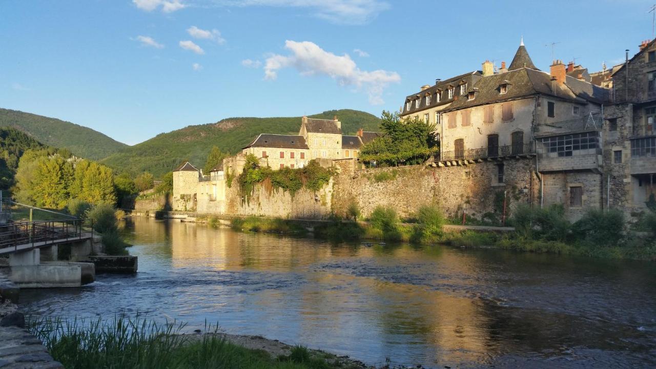 Saint-Geniez-dʼOlt Chateau Ricard מראה חיצוני תמונה