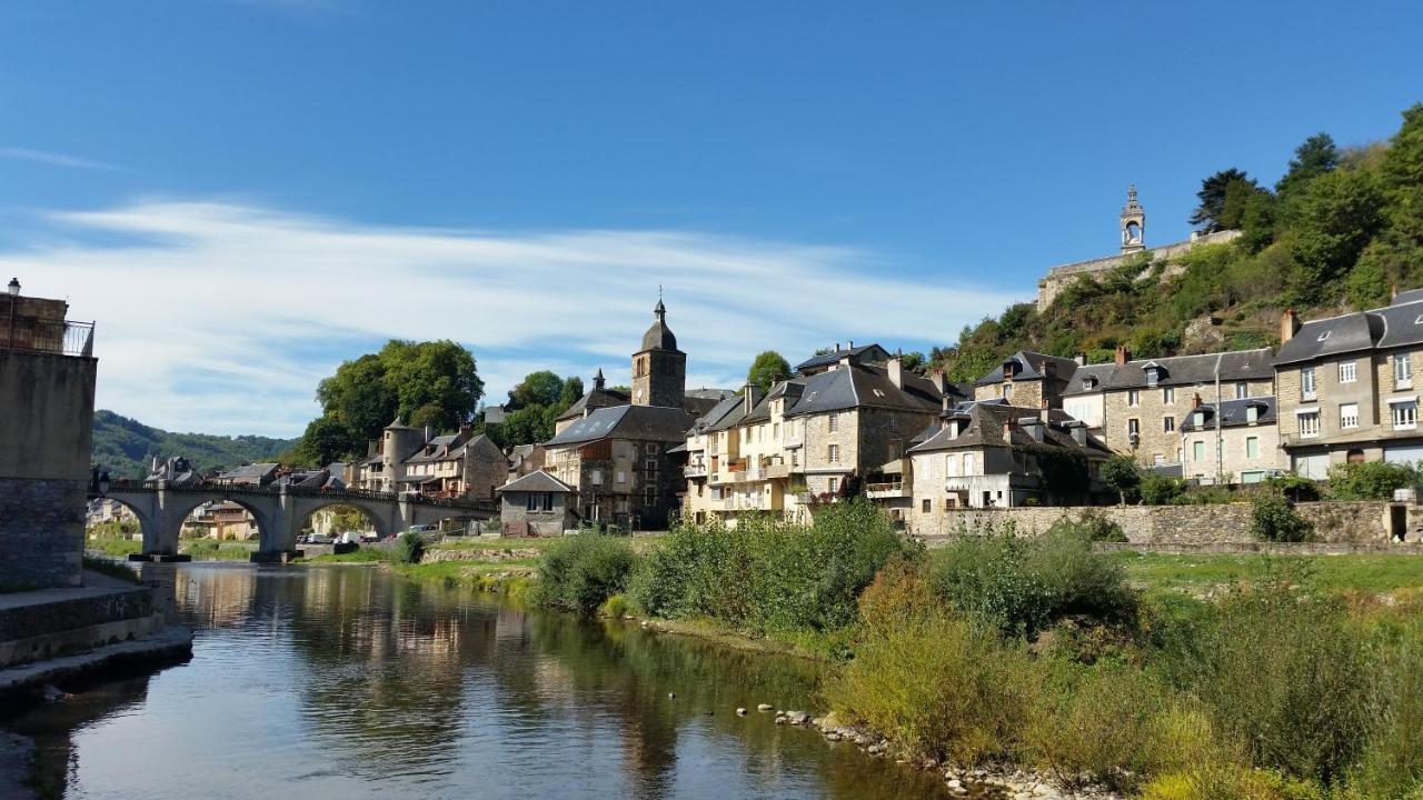 Saint-Geniez-dʼOlt Chateau Ricard מראה חיצוני תמונה