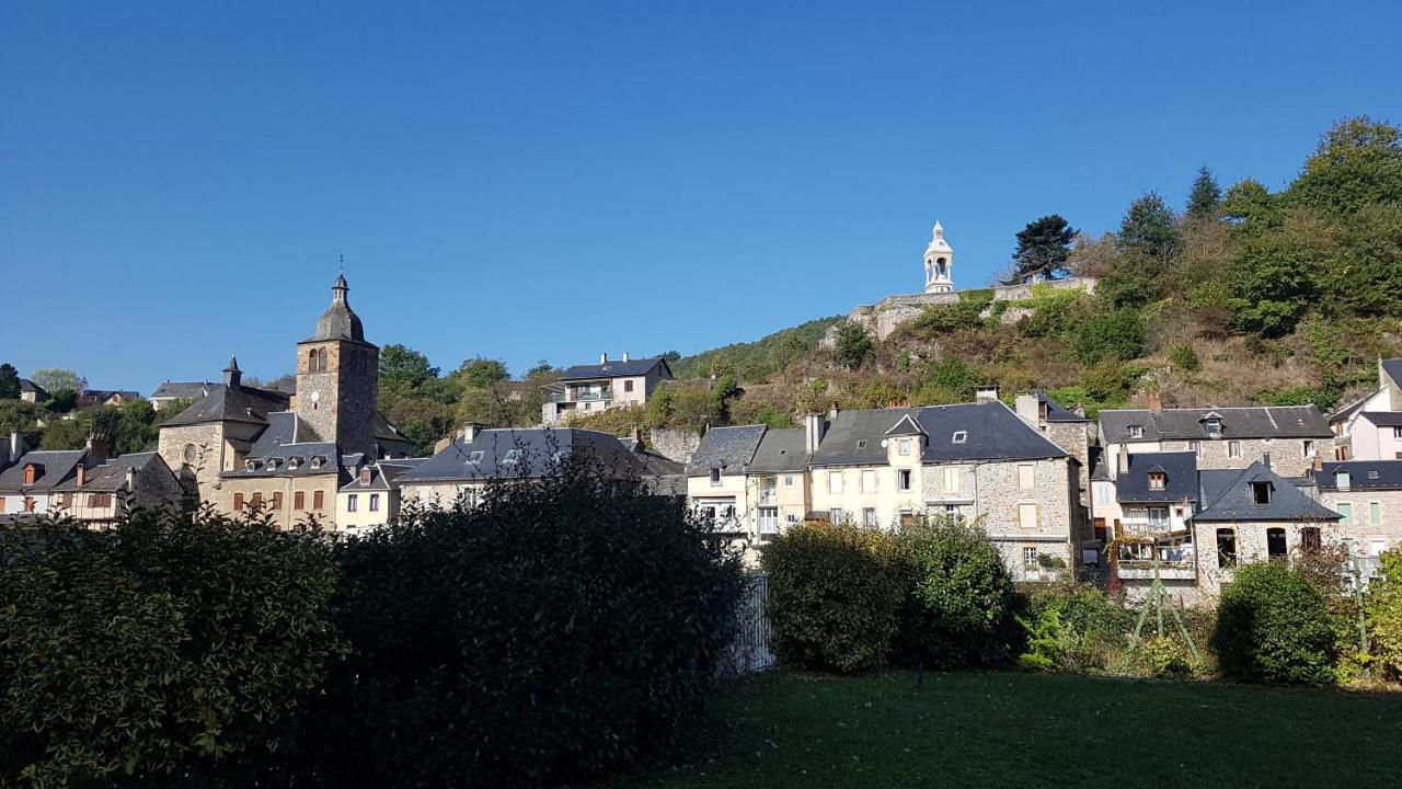 Saint-Geniez-dʼOlt Chateau Ricard מראה חיצוני תמונה