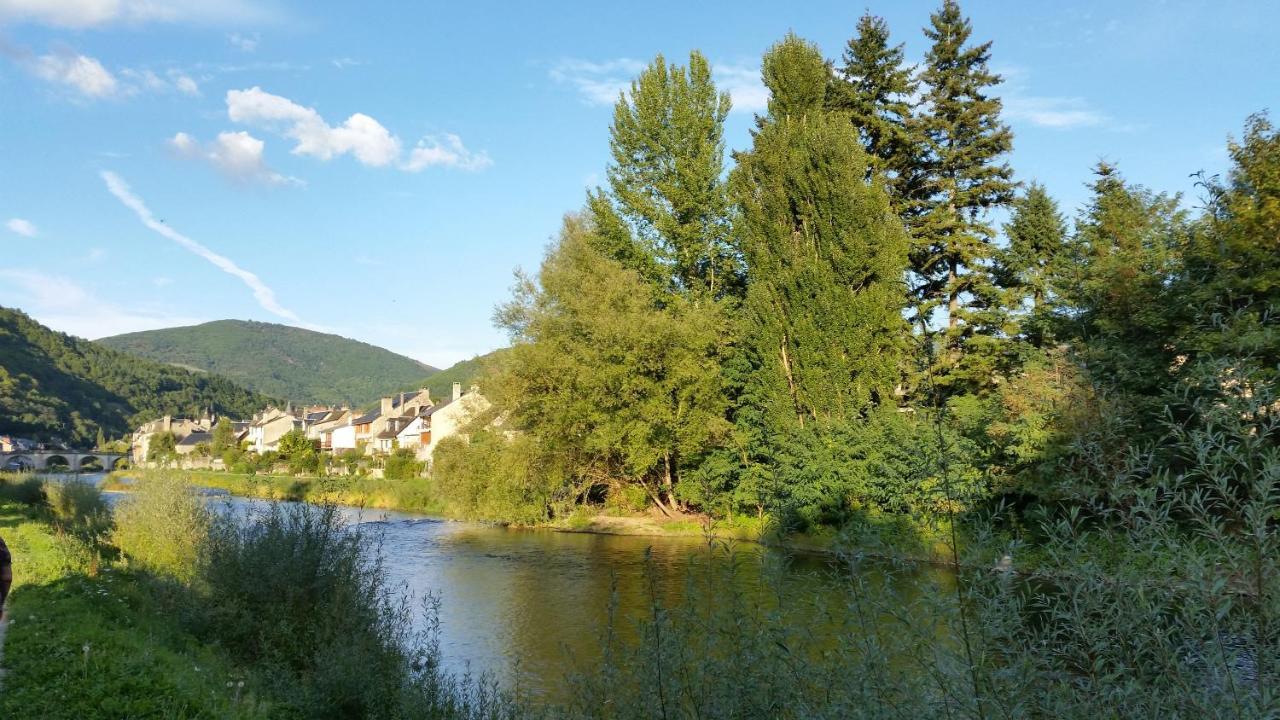 Saint-Geniez-dʼOlt Chateau Ricard מראה חיצוני תמונה