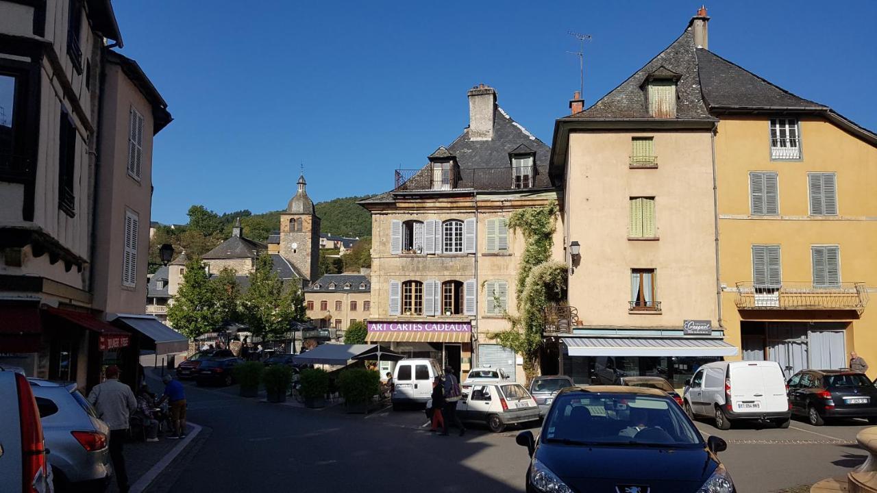 Saint-Geniez-dʼOlt Chateau Ricard מראה חיצוני תמונה